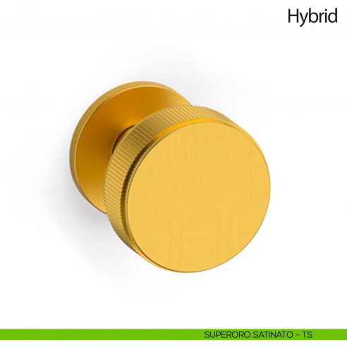Pomello per porta Hybrid girevole Olivari bassa superoro satinato
