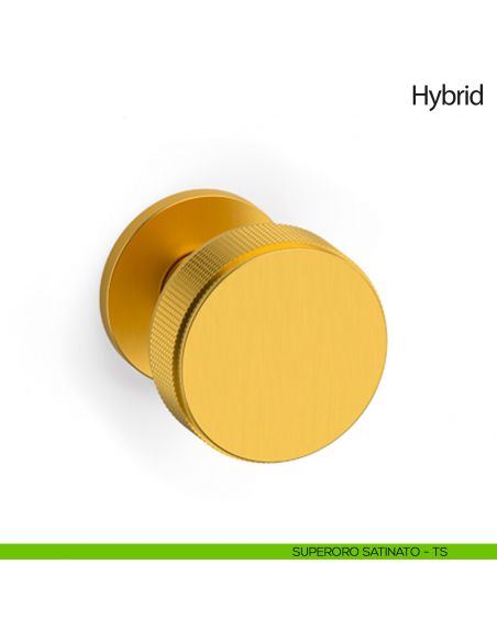 Pomello per porta Hybrid fisso Olivari bassa superoro satinato