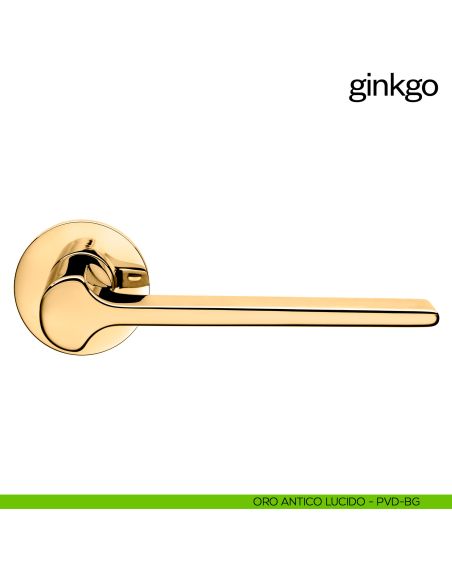 Maniglia per porta Ginkgo dnd Handles con rosetta fine oro antico lucido