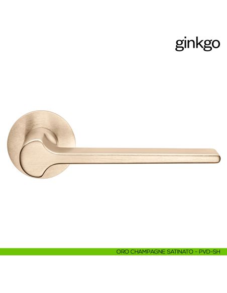 Maniglia per porta Ginkgo dnd Handles con rosetta fine oro champagne satinato