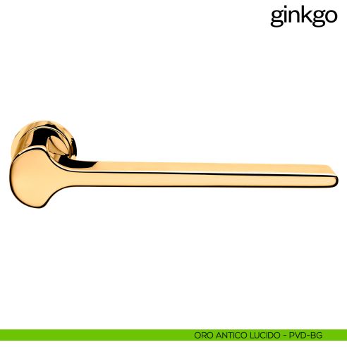 Maniglia per porta Ginkgo dnd handles con rosetta minimale Unico pvd oro antico lucido