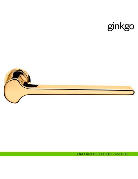 Maniglia per porta Ginkgo dnd handles con rosetta minimale Unico pvd oro antico lucido