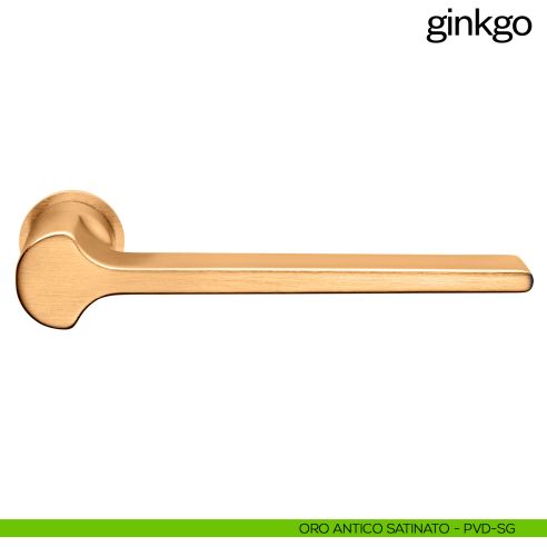 Maniglia per porta Ginkgo dnd handles con rosetta minimale Unico pvd oro antico satinato