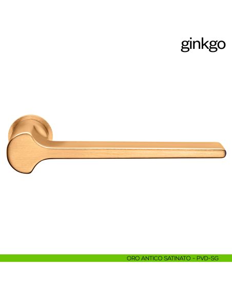 Maniglia per porta Ginkgo dnd handles con rosetta minimale Unico pvd oro antico satinato