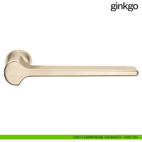 Maniglia per porta Ginkgo dnd handles con rosetta minimale Unico oro champagne satinato