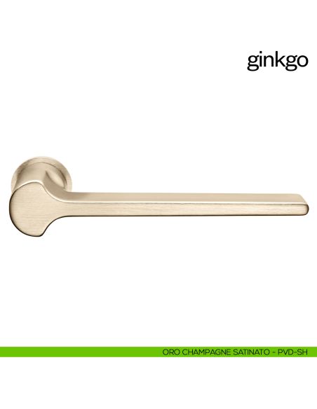 Maniglia per porta Ginkgo dnd handles con rosetta minimale Unico oro champagne satinato