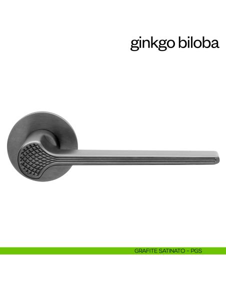 Maniglia per porta Ginkgo Biloba dnd handles con rosetta fine PVD grafite satinato