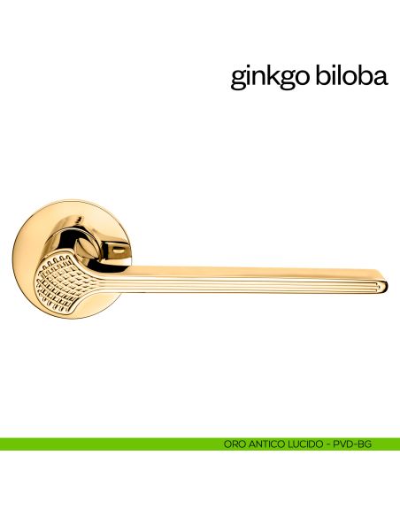 Maniglia per porta Ginkgo Biloba dnd Handles con rosetta fine oro antico lucido