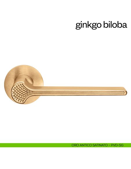 Maniglia per porta Ginkgo Biloba dnd Handles con rosetta fine oro antico satinato