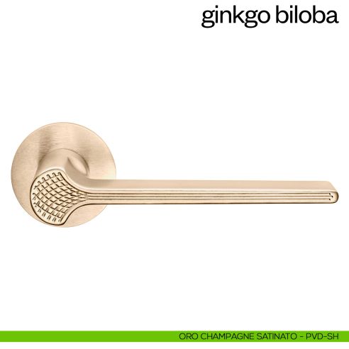 Maniglia per porta Ginkgo Biloba dnd Handles con rosetta fine oro champagne satinato