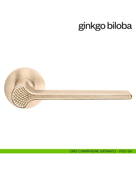 Maniglia per porta Ginkgo Biloba dnd Handles con rosetta fine oro champagne satinato