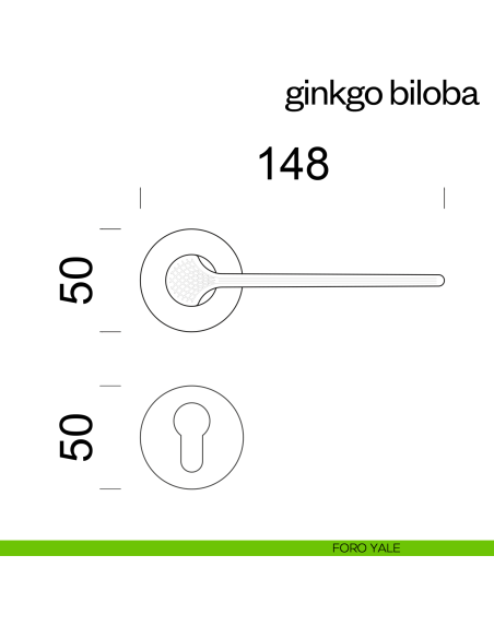Maniglia per porta Ginkgo Biloba dnd Handles con rosetta fine foro yale