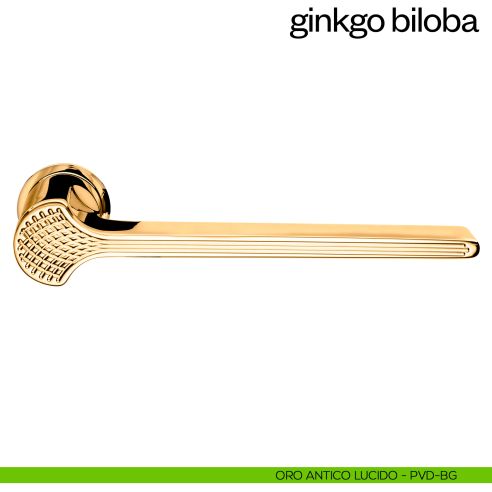 Maniglia per porta Ginkgo Biloba dnd handles con rosetta minimale Unico pvd oro antico lucido