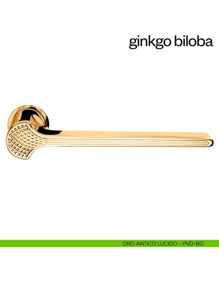 Maniglia per porta Ginkgo Biloba dnd handles con rosetta minimale Unico pvd oro antico lucido