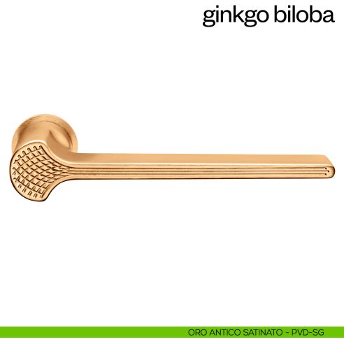 Maniglia per porta Ginkgo Biloba dnd handles con rosetta minimale Unico pvd oro antico satinato