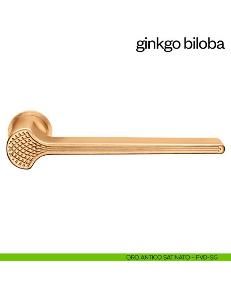 Maniglia per porta Ginkgo Biloba dnd handles con rosetta minimale Unico pvd oro antico satinato