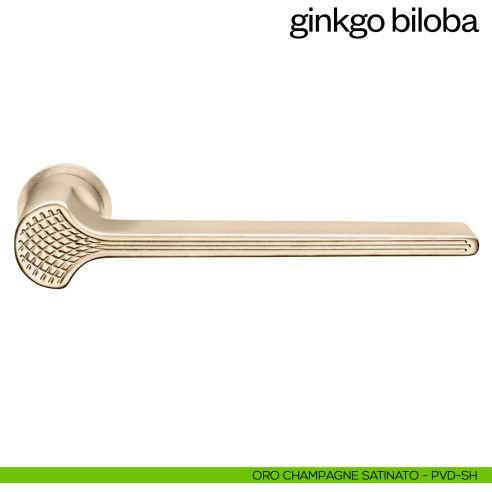 Maniglia per porta Ginkgo Biloba dnd handles con rosetta minimale Unico oro champagne satinato