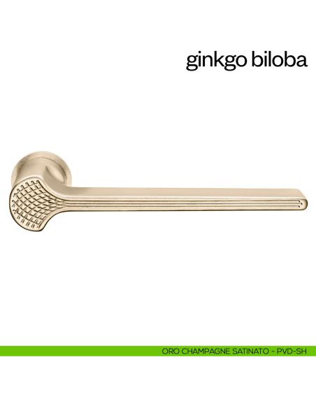 Maniglia per porta Ginkgo Biloba dnd handles con rosetta minimale Unico oro champagne satinato