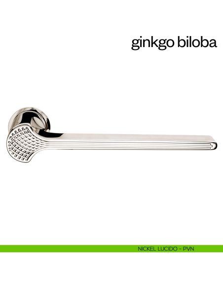 Maniglia per porta Ginkgo Biloba dnd handles con rosetta minimale Unico nickel lucido