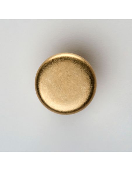 Pomello per porta Palm girevole dnd diametro 60 mm