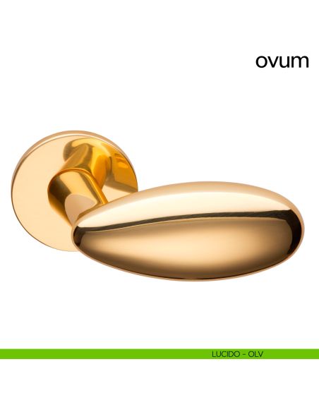 Maniglia a uovo per porta Ovum Dnd Handles con rosetta tonda lucido