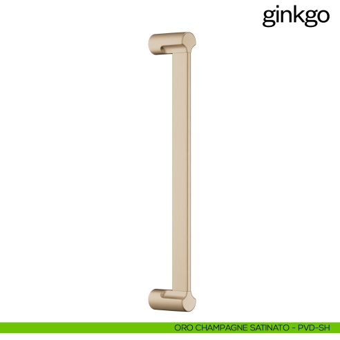 Maniglione per porta Ginkgo dnd Handles singolo oro champagne satinato