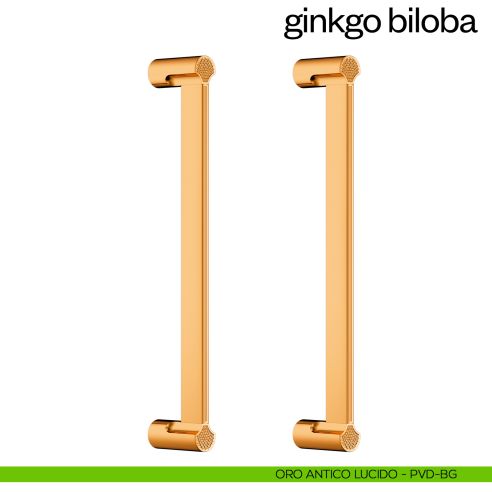 Maniglione per porta Ginkgo Biloba dnd Handles accoppiato oro antico lucido