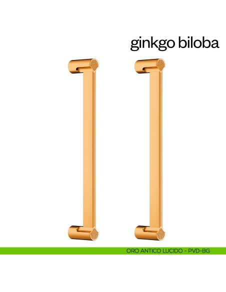 Maniglione per porta Ginkgo Biloba dnd Handles accoppiato oro antico lucido