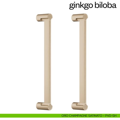 Maniglione per porta Ginkgo Biloba dnd Handles accoppiato oro champagne satinato