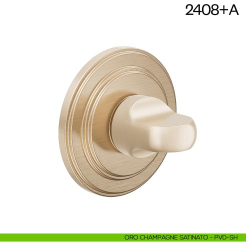 Nottolino per porta 2408 dnd Handles oro champagne satinato