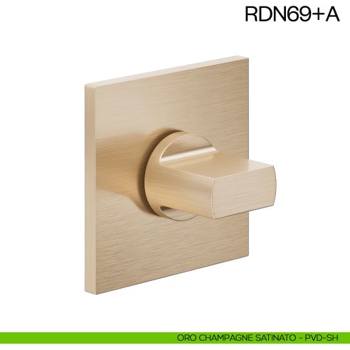 Nottolino per porta RDN69 dnd Handles oro champagne satinato