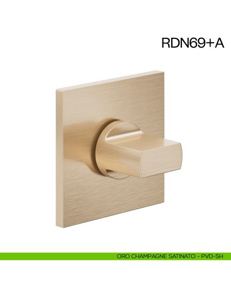 Nottolino per porta RDN69 dnd Handles oro champagne satinato