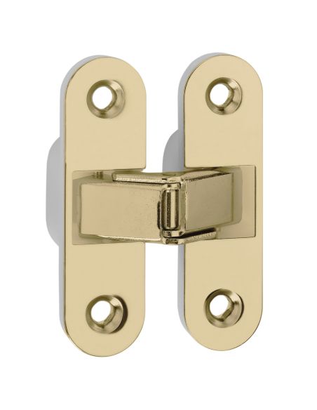 Cerniera a scomparsa per porta Ceam 2015 - acciaio ottonato - nylon