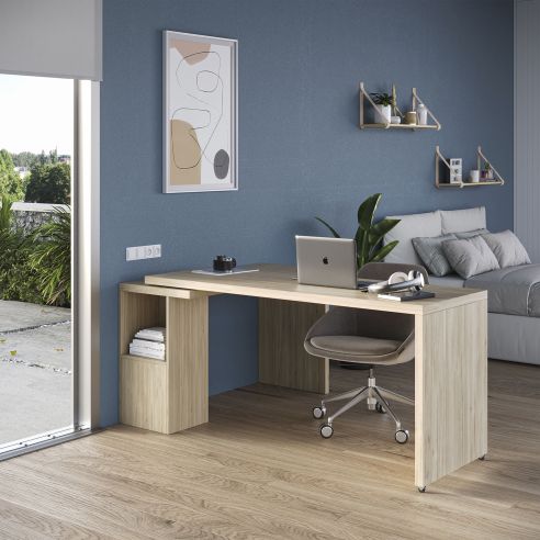 Emuca Base girevole Giro 4, 100 kg, Acciaio, Zincato bianco