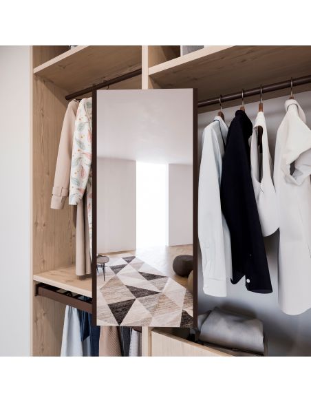 Emuca Specchio estraibile per interno dell'armadio, Acciaio e Tecnoplastica e Vetro, Verniciato grigio pietra