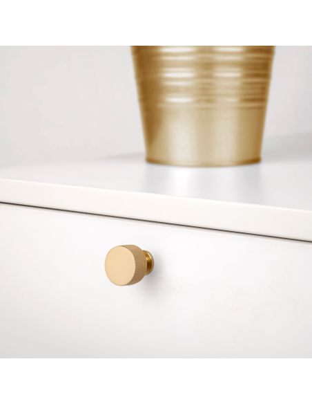 Emuca Lotto di 10 pomoli per mobili Argos, diametro 30mm, Alluminio, Oro