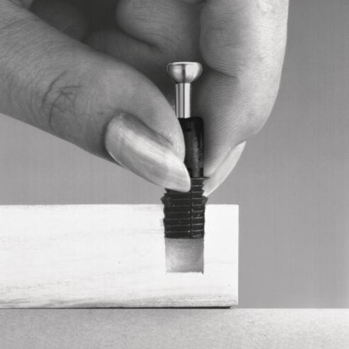Perno ad aspansione per mobile Hafele Minifix C100 per foratura diametro 10 mm