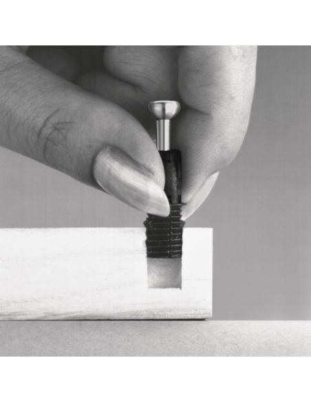 Perno ad aspansione per mobile Hafele Minifix C100 per foratura diametro 10 mm