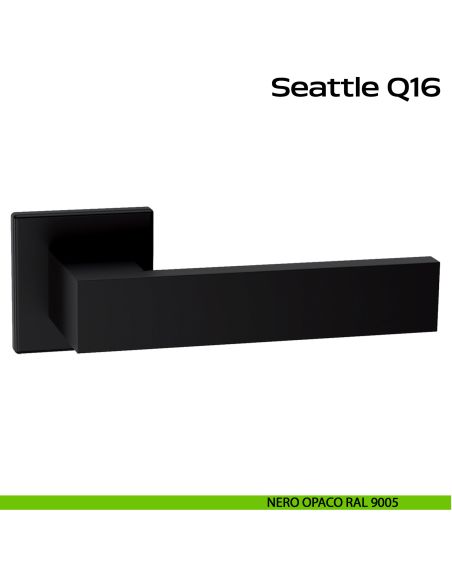 Maniglia in acciaio per porta Seattle Q16 Reguitti Inox - nero opaco RAL 9005