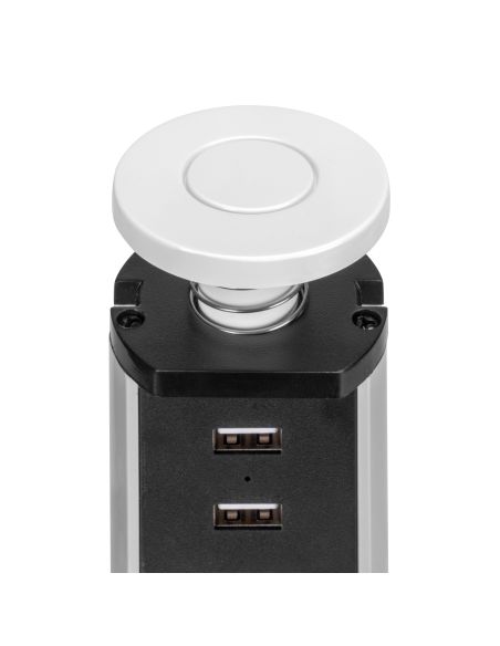 Emuca Multipresa estraibile Vertikal, 3 prese Schuko, 2 USB tipo A, Tecnoplastica e Alluminio, Verniciato bianco