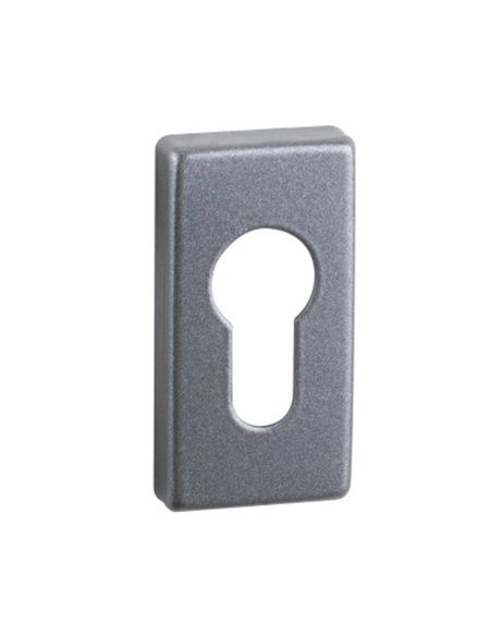 Bocchetta foro yale rettangolare Q09 Reguitti