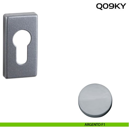 Bocchetta foro yale rettangolare Q09 Reguitti argento