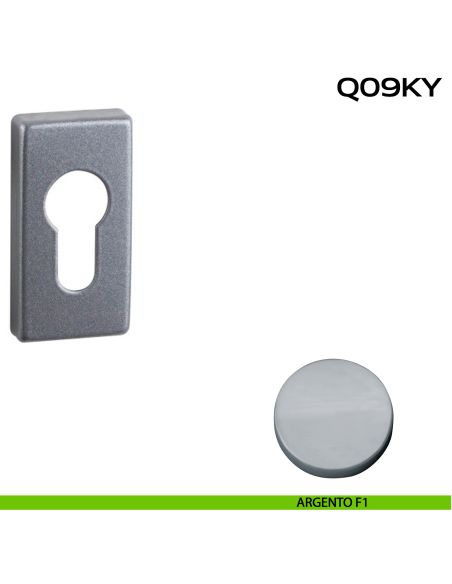 Bocchetta foro yale rettangolare Q09 Reguitti argento