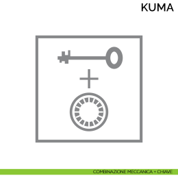 Cassaforte professionale a mobile Bordogna Kuma 100 2