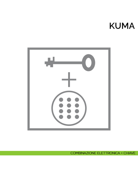 Cassaforte professionale a mobile Bordogna Kuma 200 - combinazione elettronica + chiave