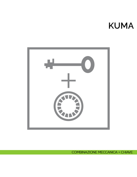 Cassaforte professionale a mobile Bordogna Kuma 920 - combinazione meccanica + chiave