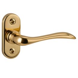 Maniglia per porta Tosca 049 Reguitti con viti a vista e rosetta ovale