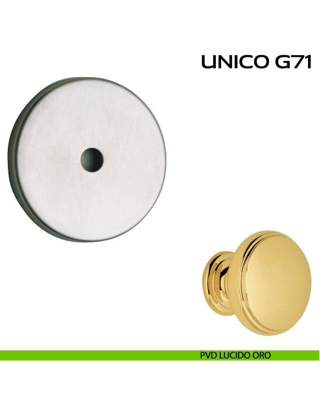 Rosetta diametro 70 mm per pomolo per porta fisso Unico G71 Reguitti pvd oro
