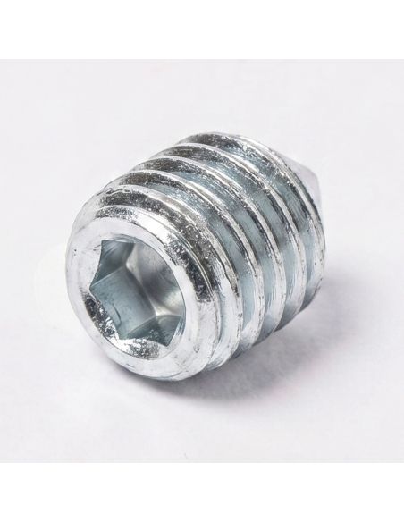 Grano di bloccaggio M8 per cerniera Roll per porta tagliafuoco Ninz 4212013.001