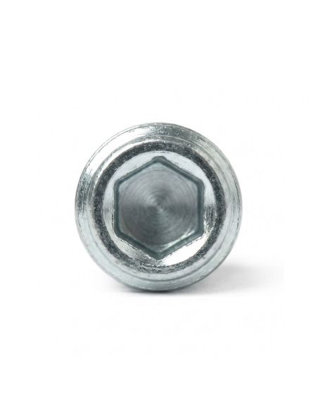 Grano di bloccaggio M8 per cerniera Roll per porta tagliafuoco Ninz 4212013.001